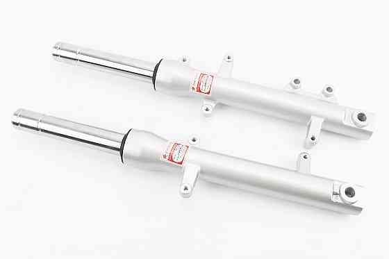 Амортизатор передній (пір'я), к-кт 2шт 445мм STORM 150 Київ