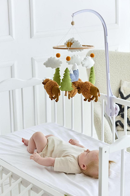 Дитячий музичний мобіль на ліжечко для немовлят WoollyFox "Бізони" на 35 мелодій Київ - фото 6