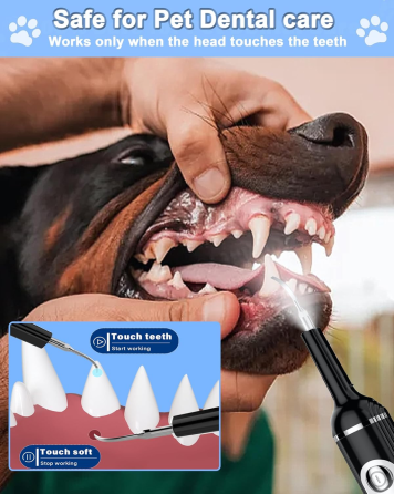 Ультразвуковий скалер для собак Stim-U-Dent, видалення нальоту, 5 режимів, LED, 4 насадки, USB-C, IPX6 Київ