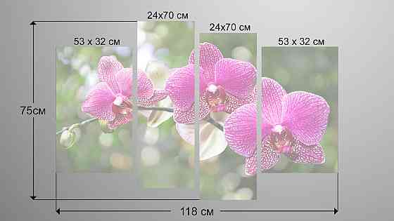 Модульная картина Цветы Орхидея Art-82_4 Киев