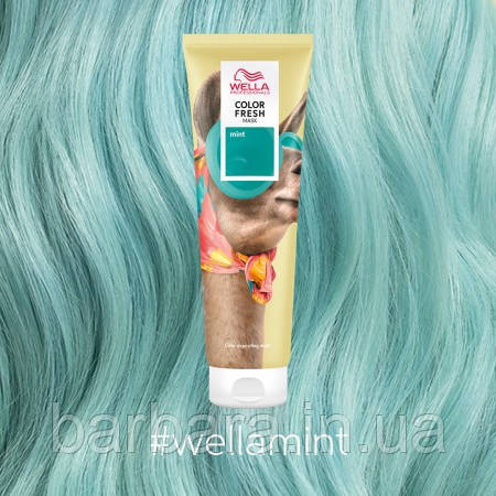 Тонуюча кремова маска Wella  COLOR FRESH Mint Мята Киев - изображение 1
