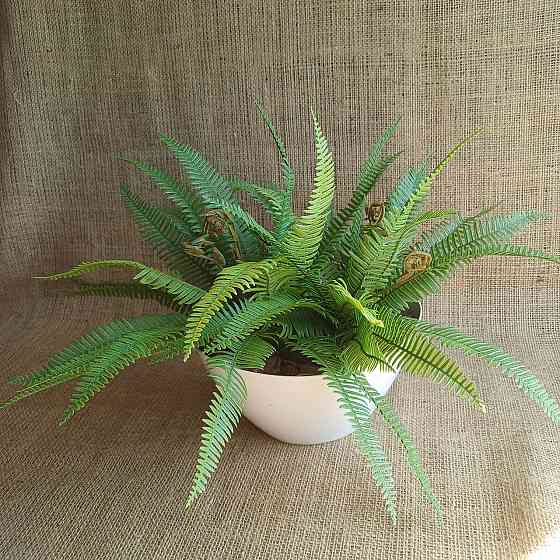 Штучний кущ міні папороті з латексу Дніпро