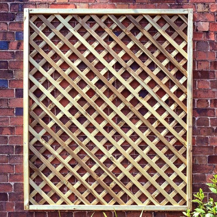 Шпалера садова "Мютежан" бланже Миколаїв - фото 1