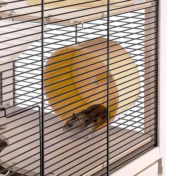 Дерев'яна клітка для хом'яків, щурів і гризунів Ferplast Hamsterville (Ферпласт Хамстервіл) Запоріжжя