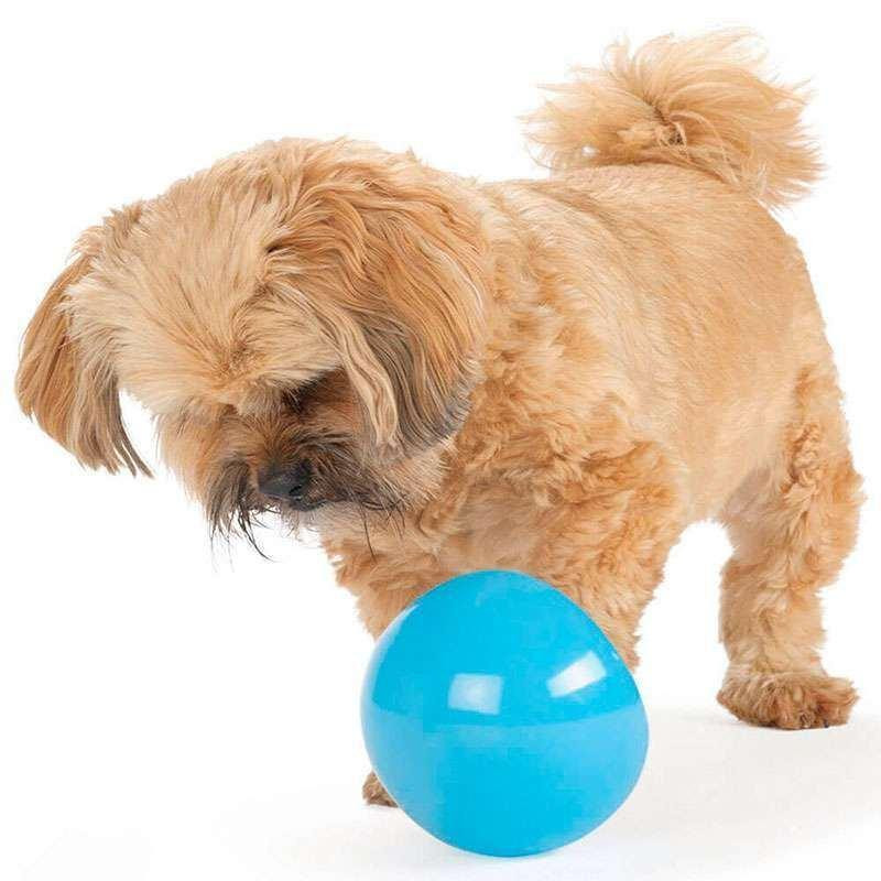 Суперпрочная игрушка диспенсер мяч для собак с отверстиями для корма Planet Dog Snoop (Планет Дог Шпион) Маленький - 7.6 х 10 см. Запорожье - изображение 5