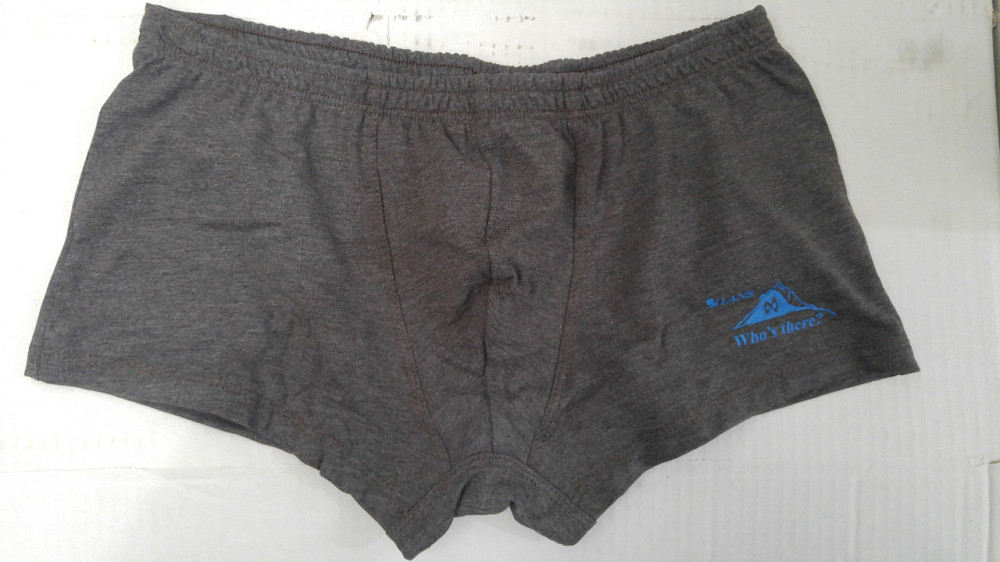 Труси чоловічі шорти Lans 07/031 L, Коричневий Київ - фото 2