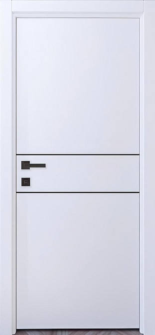 Двері фарбовані, Полотно Чернівці Київ - фото 1