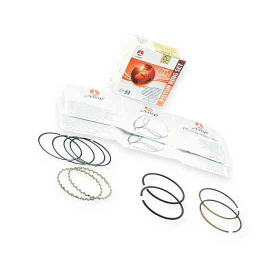 Перстневі кільця 2101-2107 (79.0) серії Мукачево