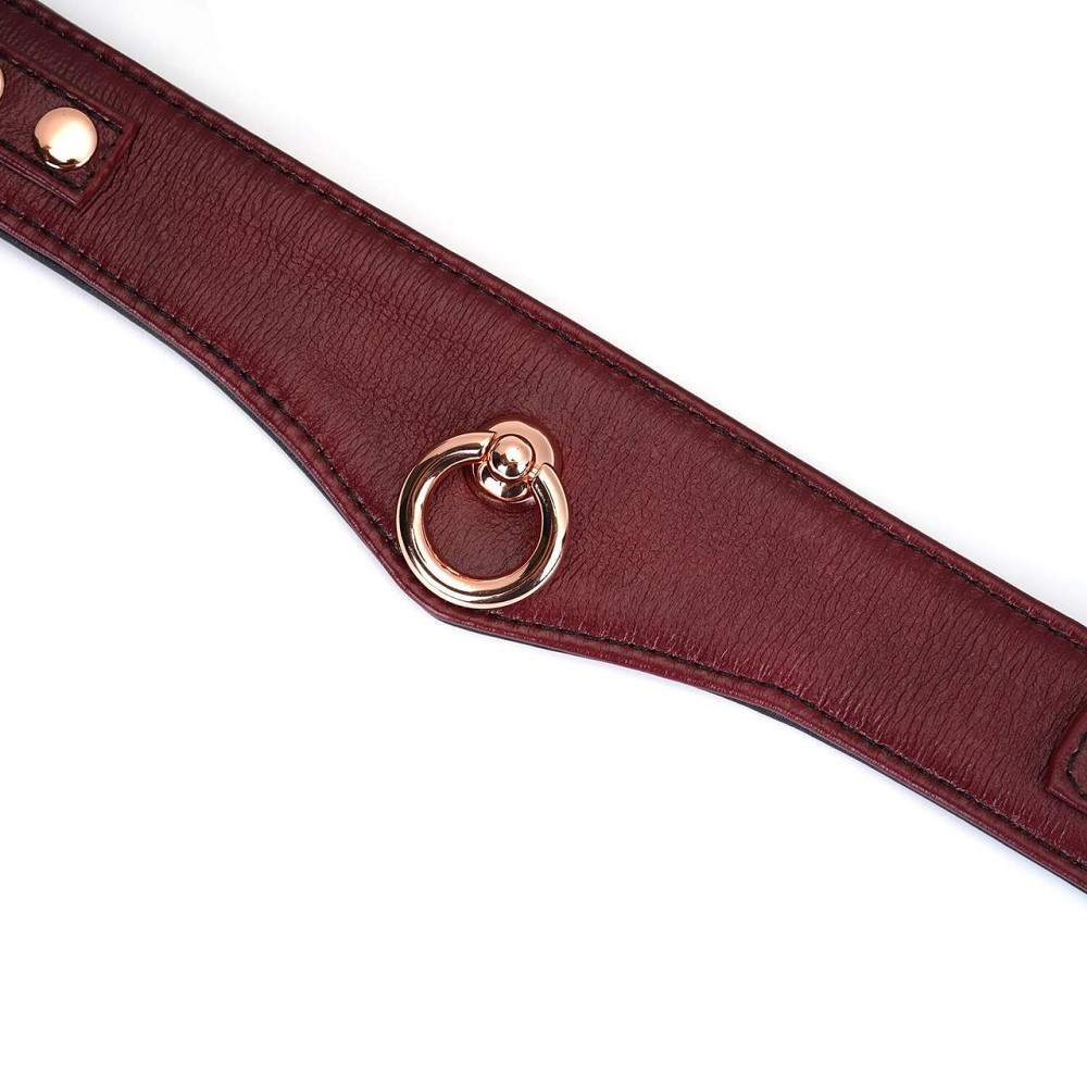 Шкіряний нашийник з повідцем Liebe Seele Wine Red Curved Collar, замок-сердечко Sex Aura Київ - фото 8