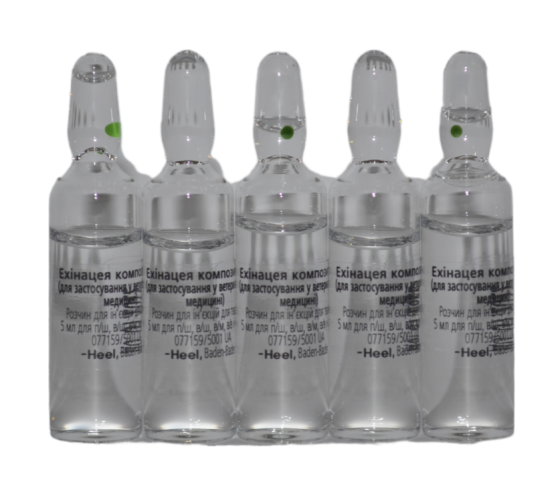 Ехінацея Композитум С Хеель  блістер №5 ампул по 5 мл (ветеринарний) Вінниця