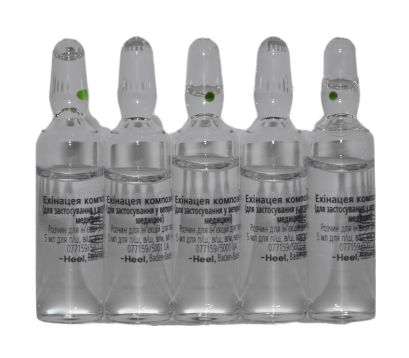 Ехінацея Композитум С Хеель  блістер №5 ампул по 5 мл (ветеринарний) Вінниця - фото 2