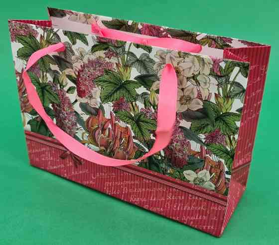 Пакет паперовий малий горизонтальний 11/18/5 (арт М033) (12 шт.) Харків