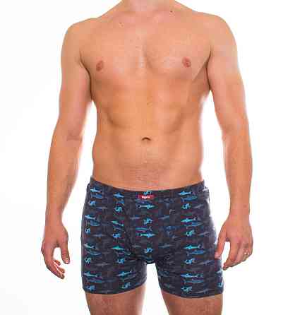 Трусы мужские шорты Bono 950323 50, Наушники Киев