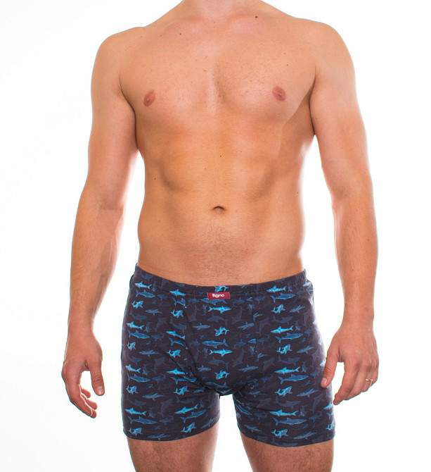 Трусы мужские шорты Bono 950323 50, Наушники Киев - изображение 3