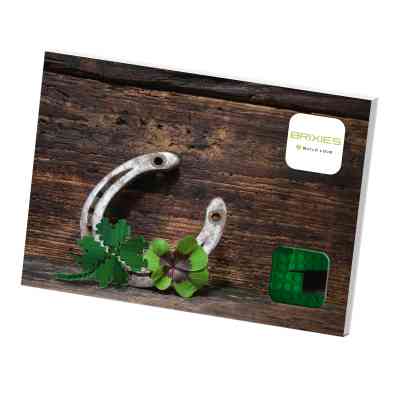 Конструктор BRIXIES Четырехлистник (220.021) Винница