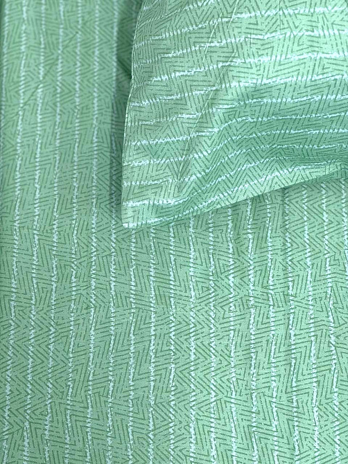 Ecotton Комплект постільної білизни Ecotton двоспальний 180х215 см Папороть зелена (21006АВ) Коломыя - изображение 4