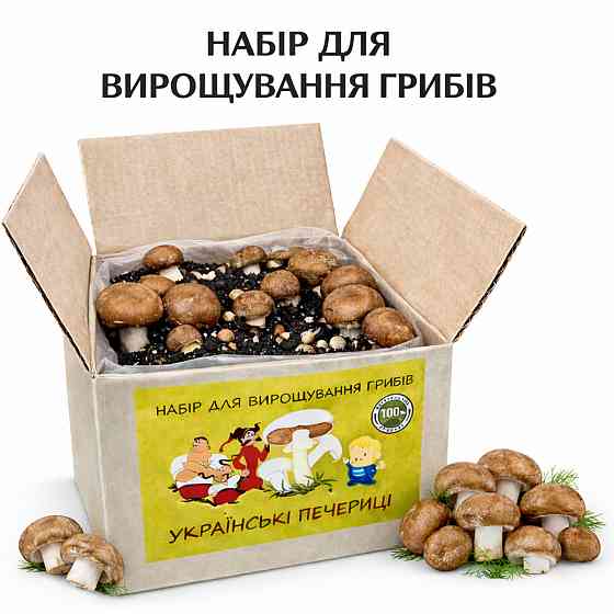Грибний набір для вирощування королівських печериць готова грибна коробка з засіяним міцелієм печериць (2 коробки) Харків