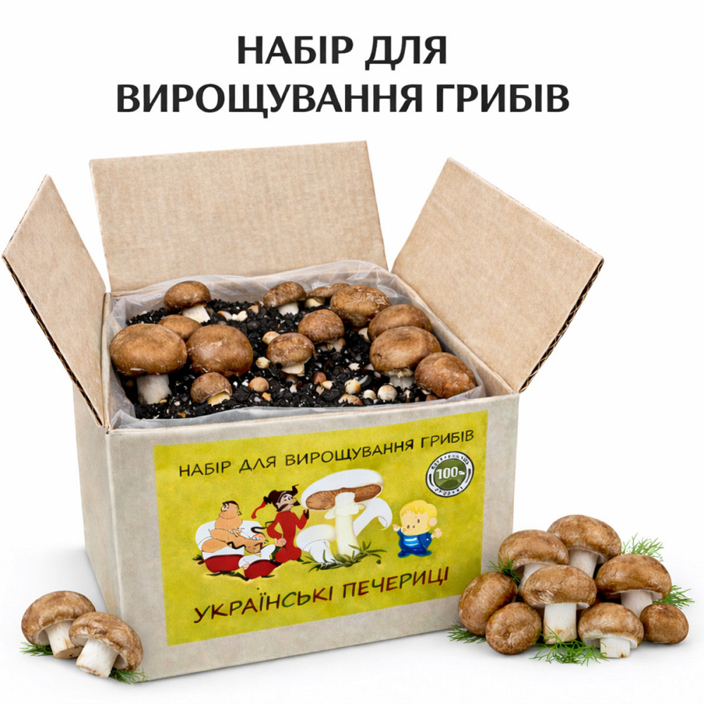 Грибний набір для вирощування королівських печериць готова грибна коробка з засіяним міцелієм печериць (2 коробки) Харків - фото 4