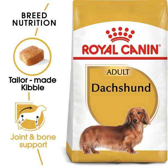 Royal Canin Dachshund Adult (Роял Канін Даксхунд Едалт) сухий корм для собак породи такса від 10 місяців Запоріжжя