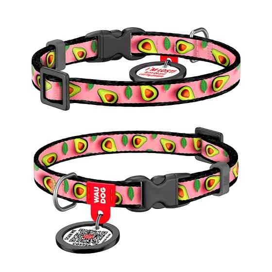 Нашийник для котів та дрібних порід собак нейлоновий WAUDOG Nylon з QR паспортом, малюнок "Авок Коломыя