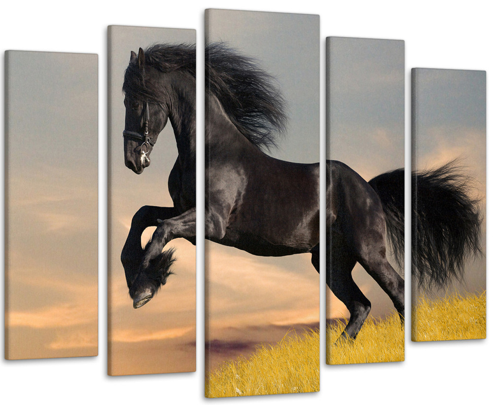 Модульна картина Чорний Кінь Art-85_5 Київ - фото 1