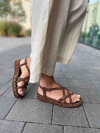 Dino Vittorio Босоніжки замшеві жіночі леопардові літні / Босоніжки натуральна замша Dino Vitto Коломыя