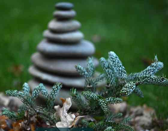 Объектив Sigma/ NIKON 150mm 1:2.8 APO macro EX DG HSM Киев