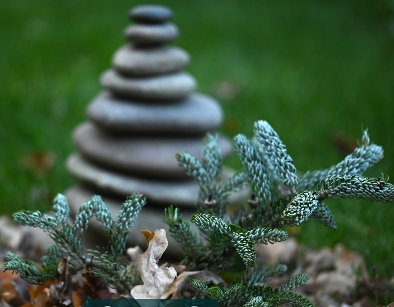 Об'єктив Sigma/NIKON 150mm 1:2.8 APO macro EX DG HSM Київ - фото 2