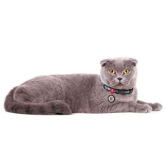 Нашийник для собак нейлоновий WAUDOG Nylon з QR-паспортом, малюнок "Етно синій", пластиковий фастекс, Ш 10 мм Вінниця