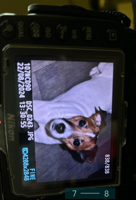 Фотоаппарат: Nikon D90 Kit 18-105mm.. Харьков - изображение 4