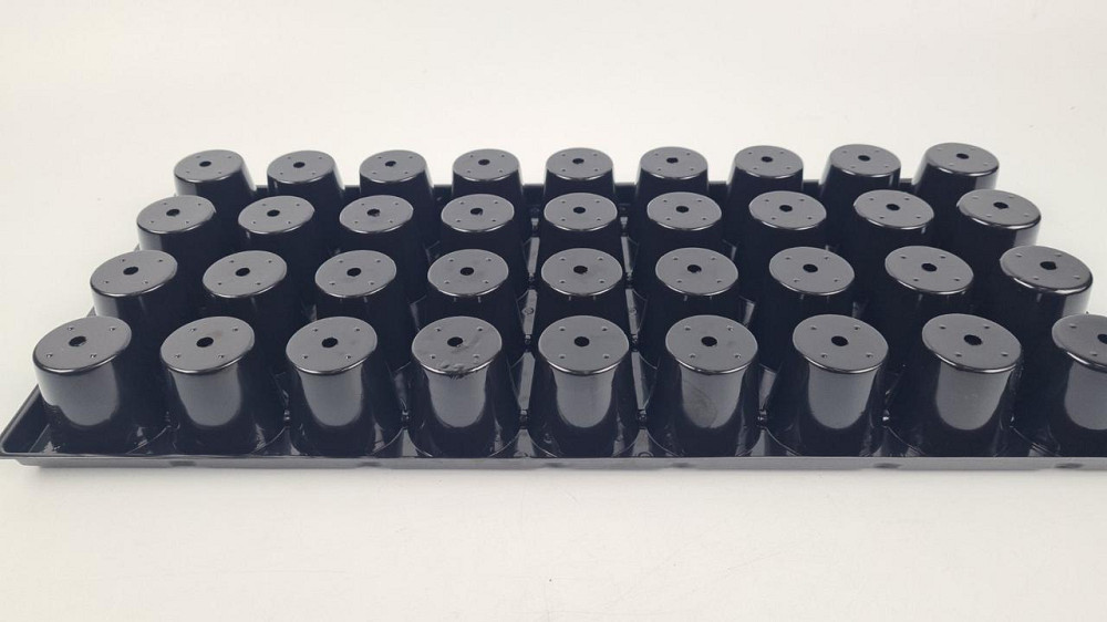 Набор для рассады кассета 44*20,5*4  с поддоном на 36 V-ячеек-60 см3(ячейка диаметр 45мм*40мм) (1 шт) Харьков - изображение 3