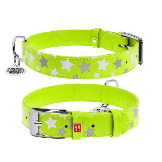 Нашийник для собак шкіряний WAUDOG Glamour з QR паспортом, візерунок "Зірочка", світлонакопичув Коломыя
