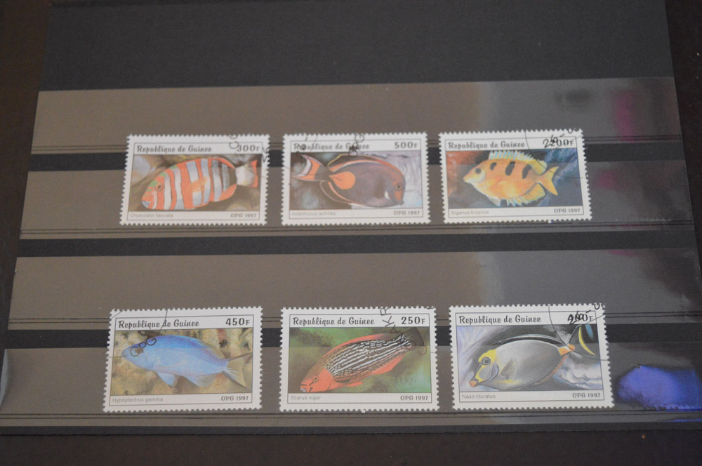 Марки. Серия. Гвінея (гаш.) Полтава - фото 1