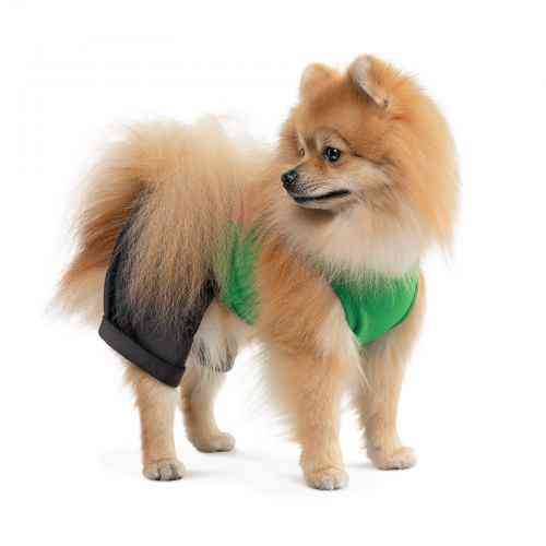 Костюм Pet Fashion «Aleks» для собак, размер XS, зеленый Винница