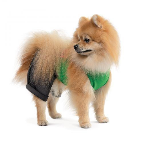 Костюм Pet Fashion «Aleks» для собак, розмір XS, зелений Вінниця - фото 2