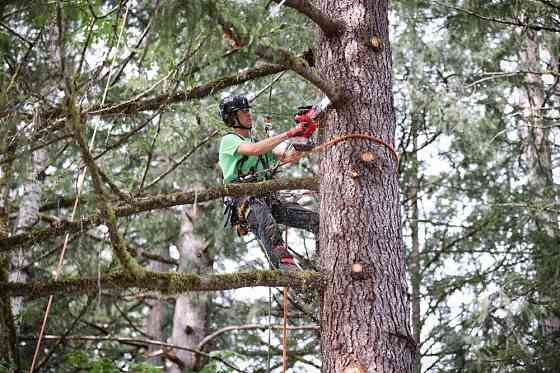 Пила цепная аккумуляторная MILWAUKEE, M18 FUEL FHS20-552 Одесса