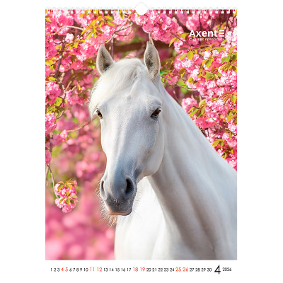 Календарь Axent настенный А3 2026 г. Horses (8804-26-3-A) Винница - изображение 11