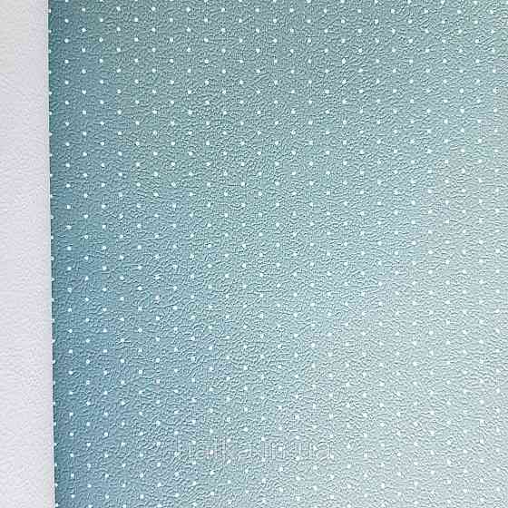 Обои виниловые на флизелине 0.53х10.05 Rasch Textil Petite Fleur 5 точки белые на серо голубом Киев