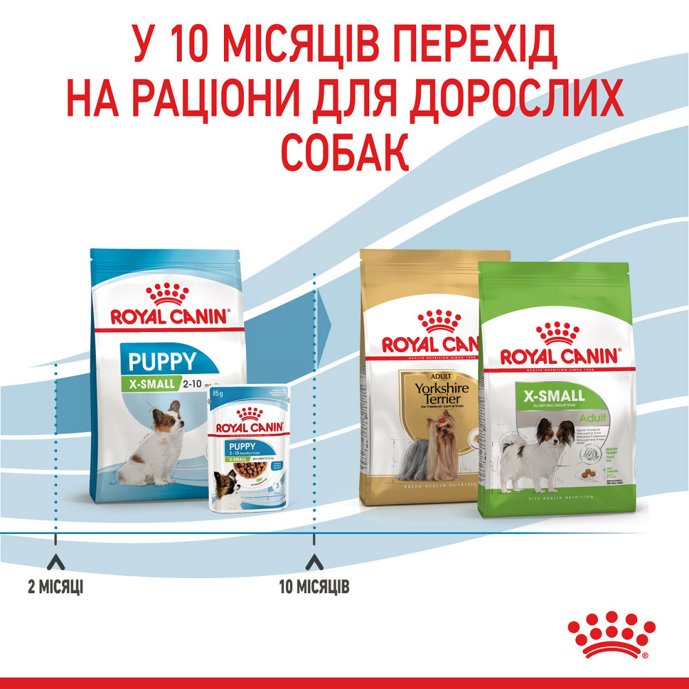 Корм для цуценят мініатюрних порід ROYAL CANIN XSMALL PUPPY 0.5 кг Київ - фото 6