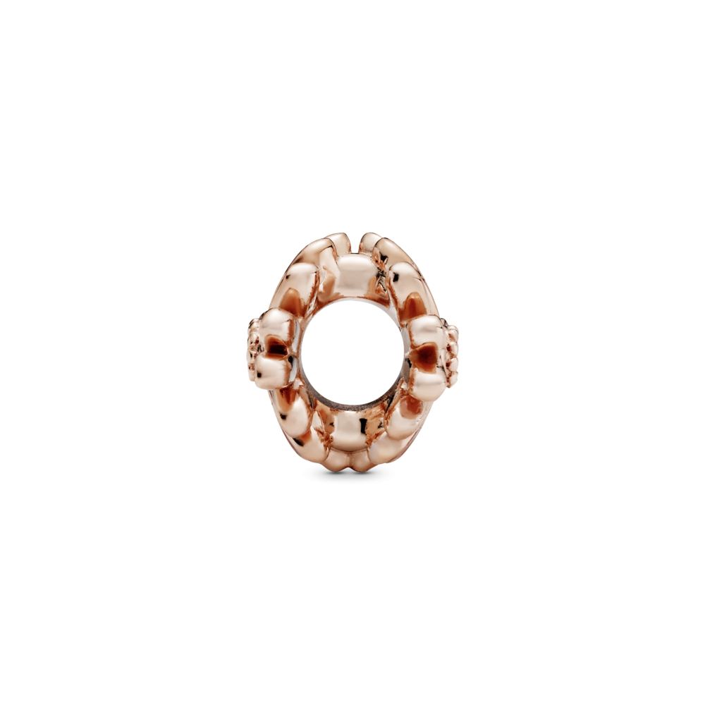 Серебряный шарм Пандора   