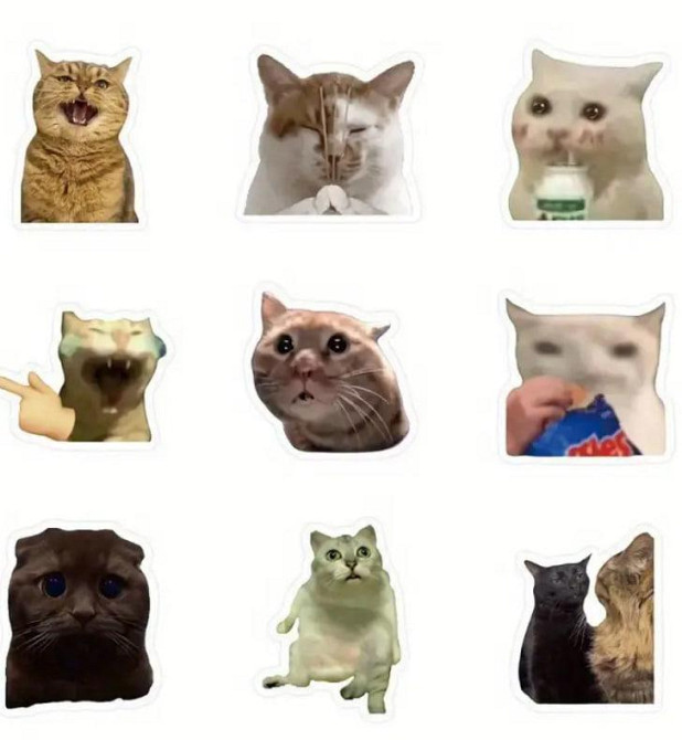 Мемные наклейки с котами 100 шт. наклейки для ноутбука, телефона. Киев - изображение 2