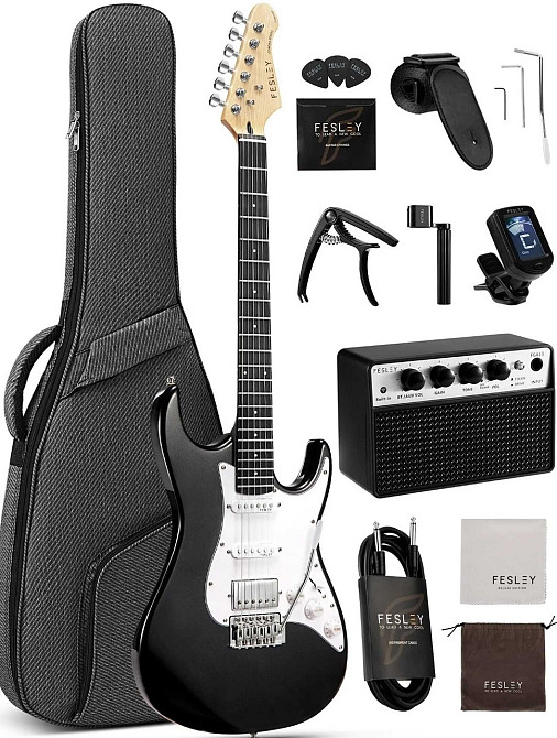 Электрогитара Fesley FST100 (комплект) Харьков - изображение 8