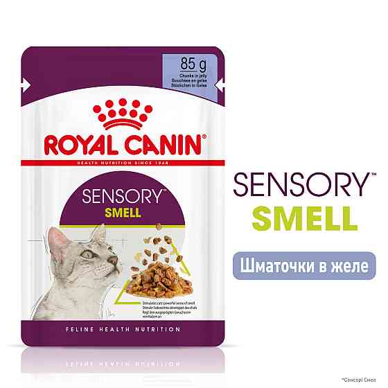 Вологий корм для дорослих котів ROYAL CANIN SENSORY SMELL JELLY 0.085 кг, стимулює нюхові рецептори Київ