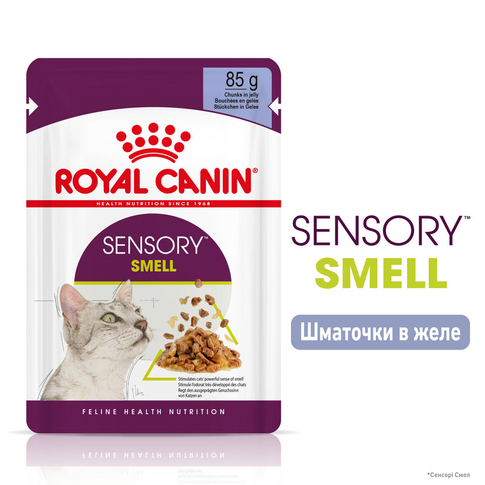Влажный корм для взрослых кошек ROYAL CANIN SENSORY SMELL JELLY 0.085 кг стимулирует обонятельные рецепторы Киев - изображение 2