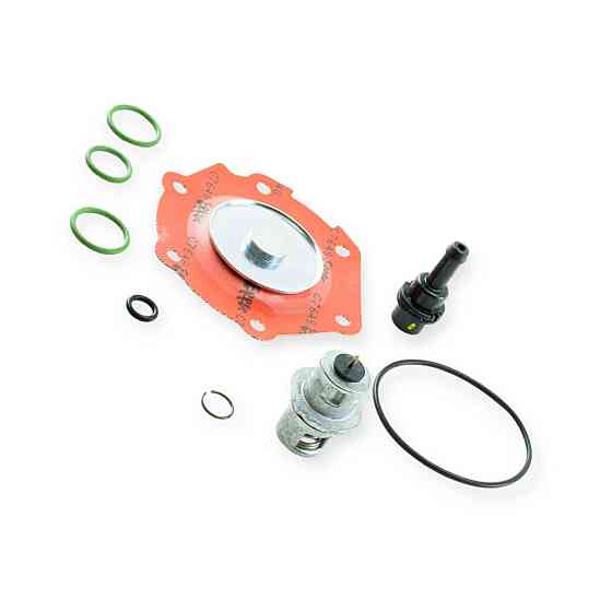 Ремкомплект fkm rgj-3/3.2/3.2l red - gas редуктора Мукачево