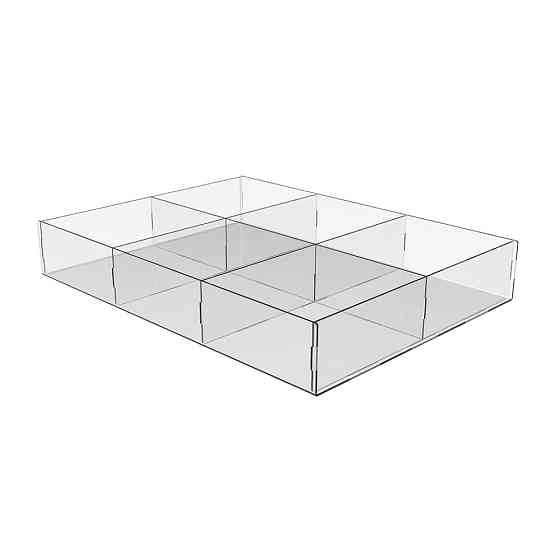 Коробка акриловая EKOSTAR 400х300х60 6 ячеек Киев