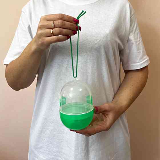 Ловушка для ос, мух и насекомых Wasp Trap, 2 шт Днепр