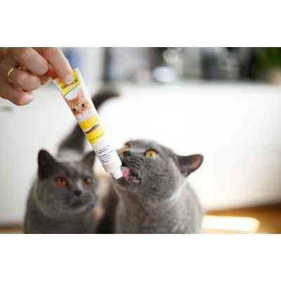 Паста для животных GimCat DUO PASTE Multi-vitamin 12 vitamins with cheese 12 витаминов и сыр 50 г (4002064421841) Винница