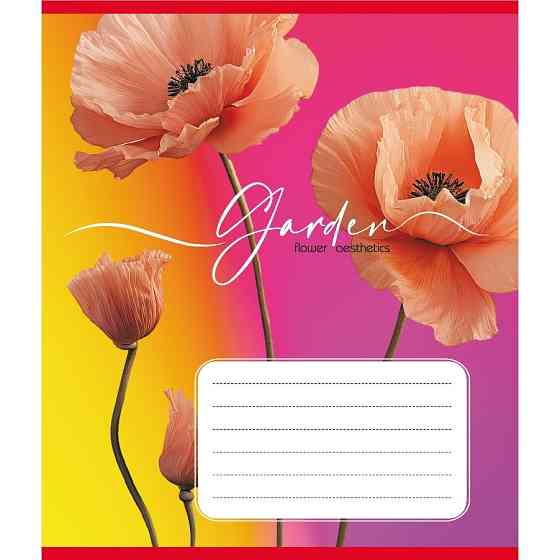 Тетрадь ученическая 