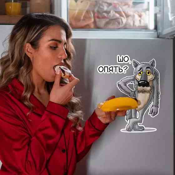 Наклейка на холодильник Шо опять 20 на 16 см різнобарвний Київ